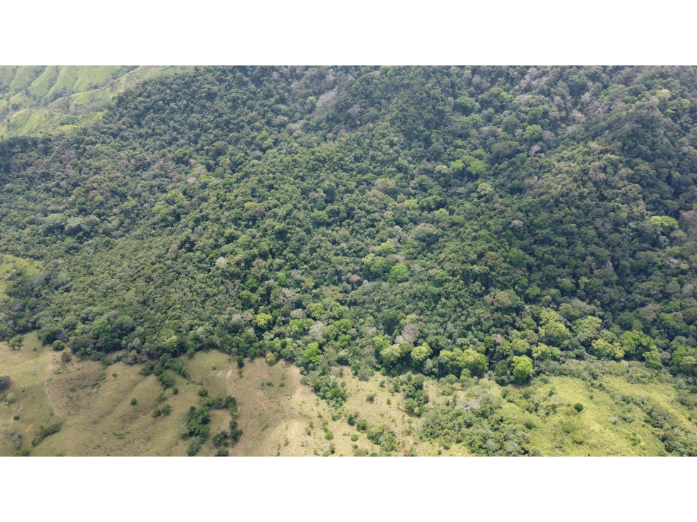 Venta de finca en Santa Fé Cucunati Darien - 6