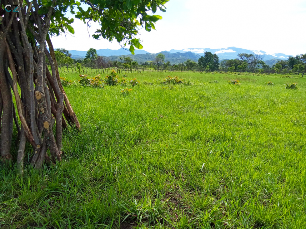 Venta de finca en Dolega Chiriqui - 2