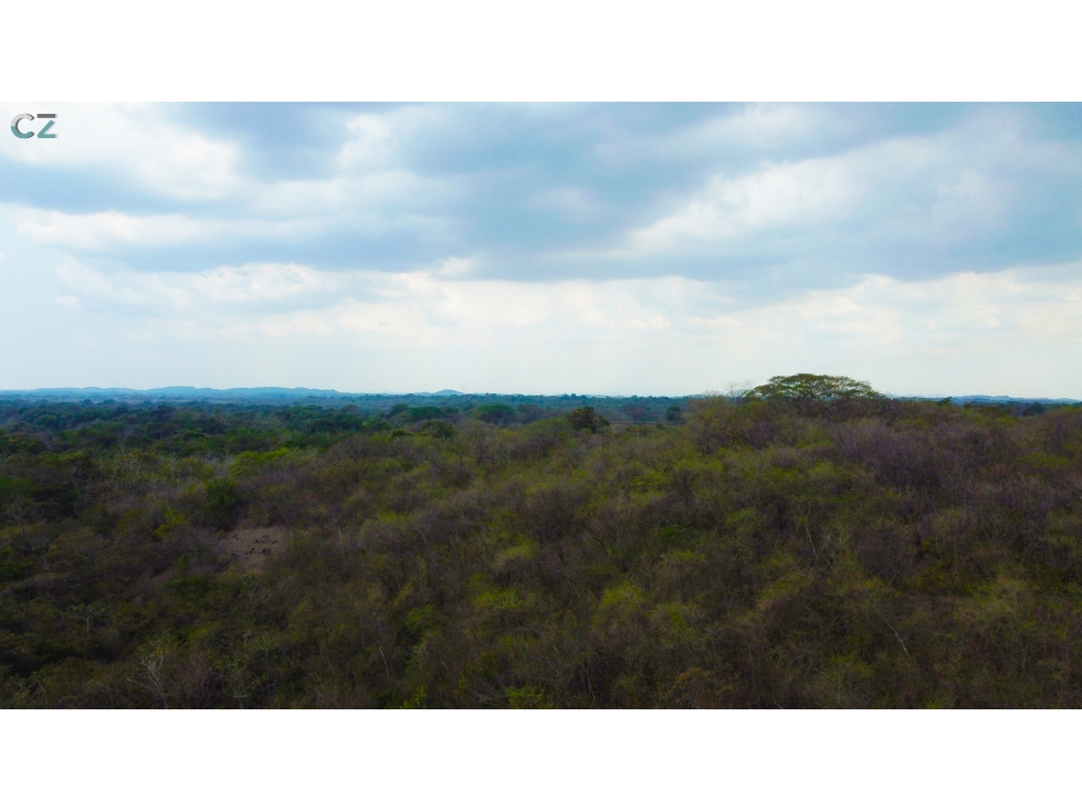 Venta de finca en El Higo de Santiago de Veraguas. - 2