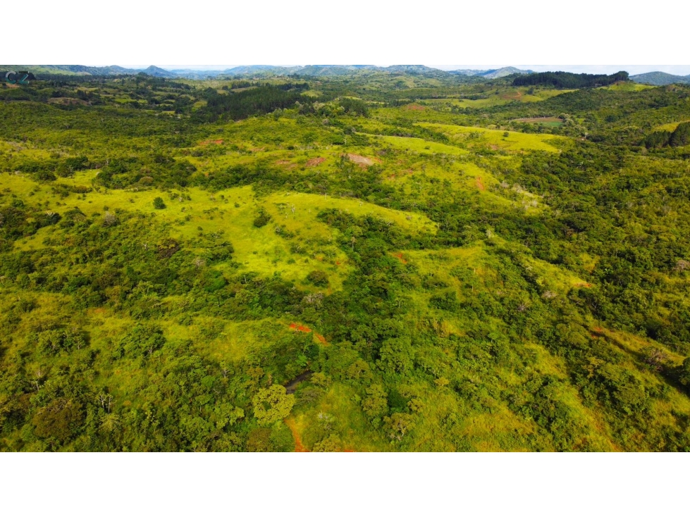 Venta de finca en las Minas Herrera - 2