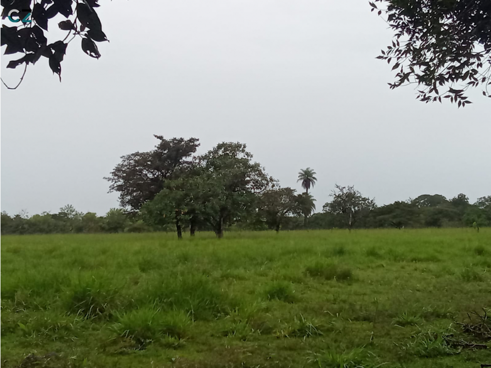 Venta de finca en Dolega Chiriqui - 5
