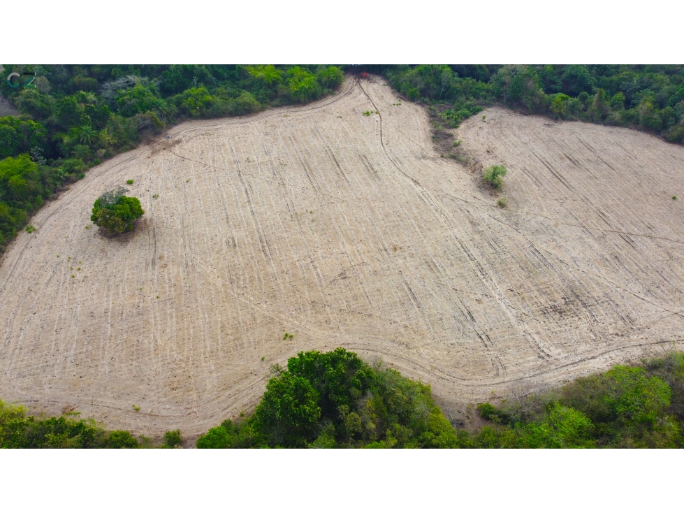 Venta de finca en El Higo de Santiago de Veraguas. - 3