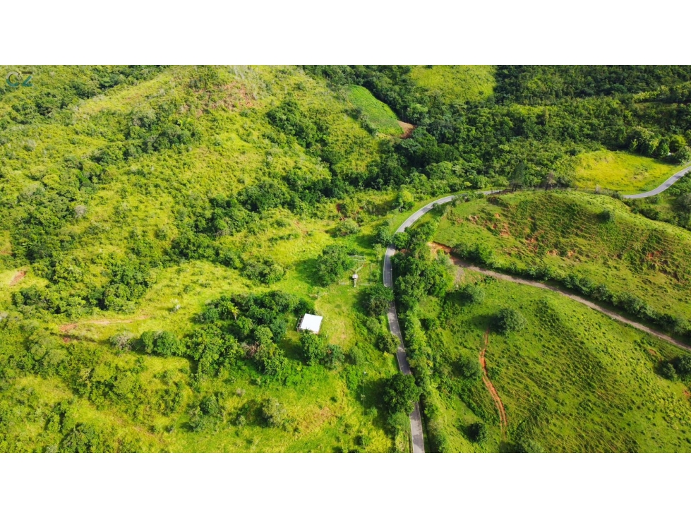 Venta de finca en las Minas Herrera - 3