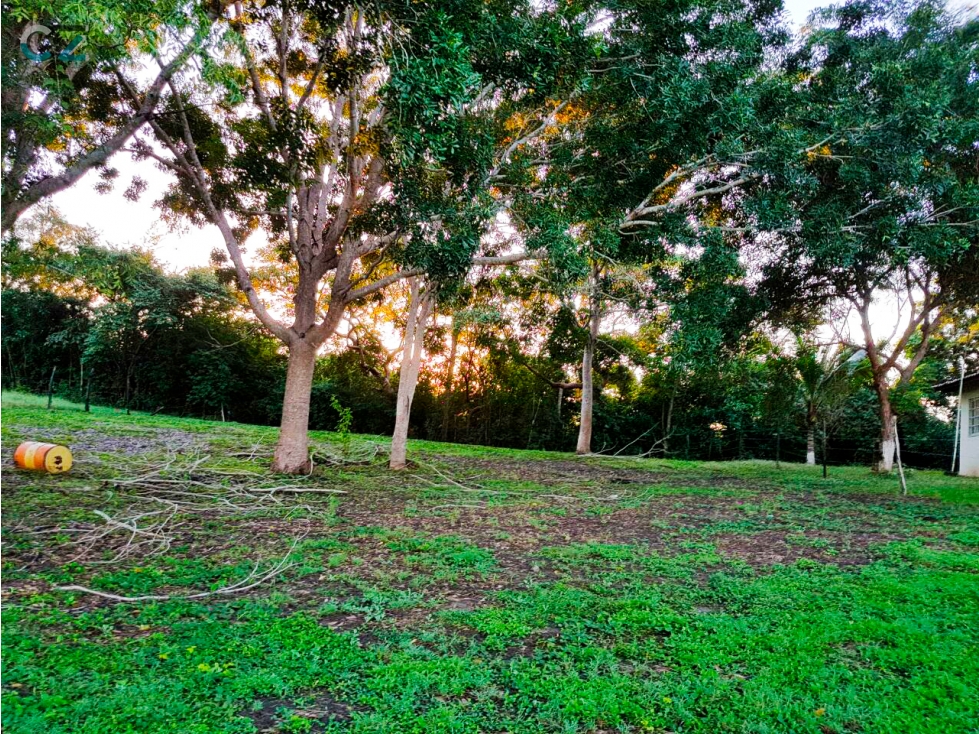 Venta de lote en Panama Oeste San Carlos, Las uvas - 3
