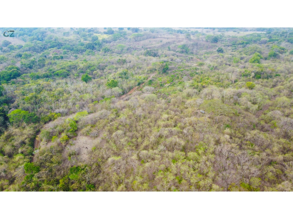 Venta de finca en El Higo de Santiago de Veraguas. - 4