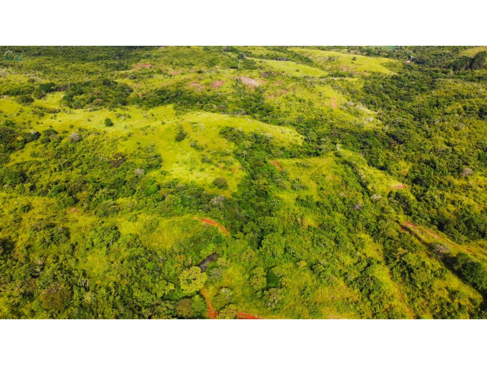 Venta de finca en las Minas Herrera - 4
