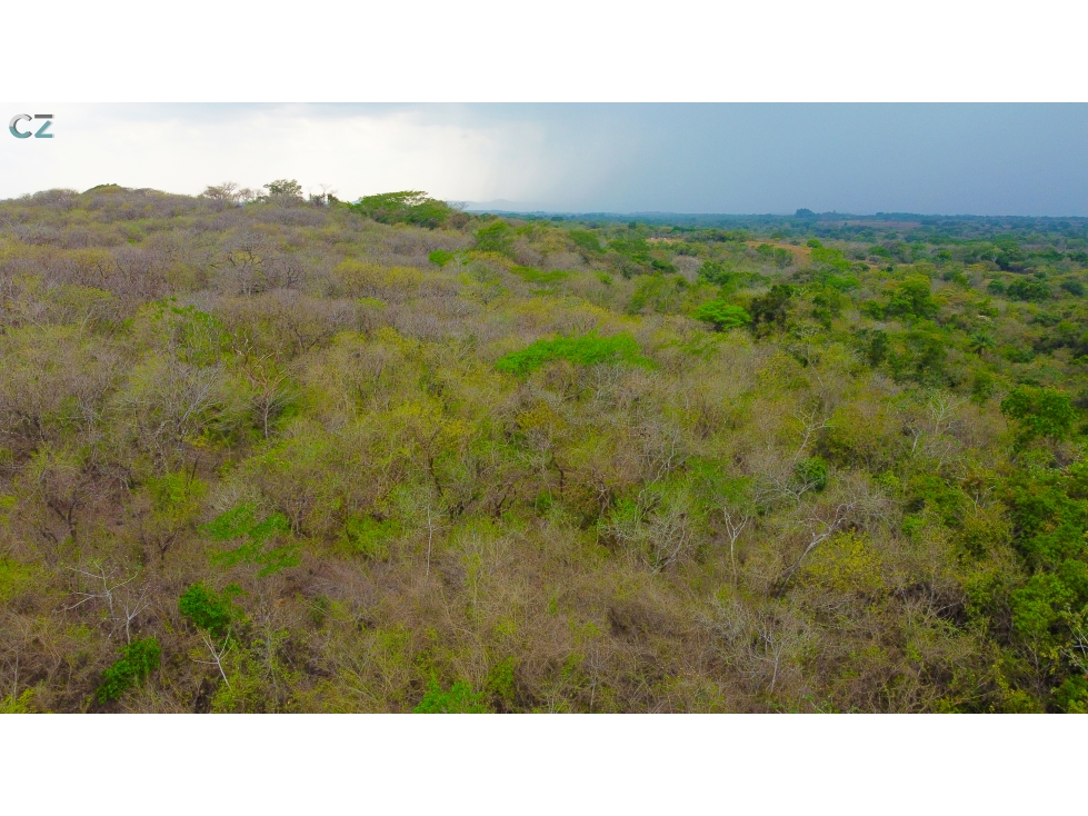 Venta de finca en El Higo de Santiago de Veraguas. - 5