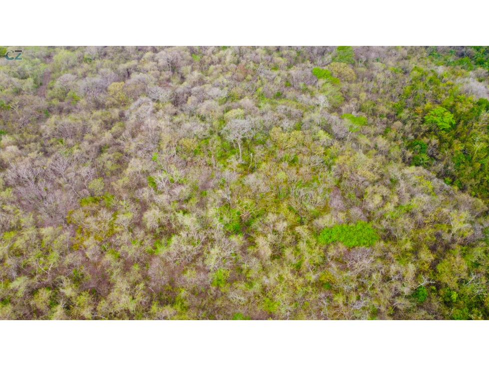 Venta de finca en El Higo de Santiago de Veraguas. - 6