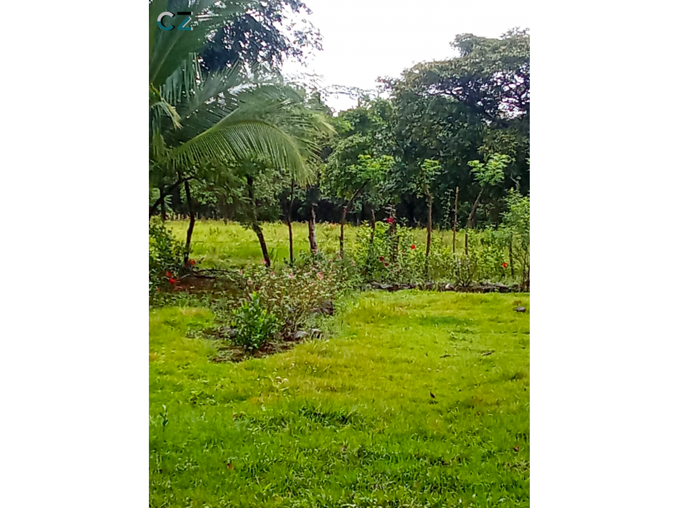 Venta de finca en Dolega Chiriqui - 3