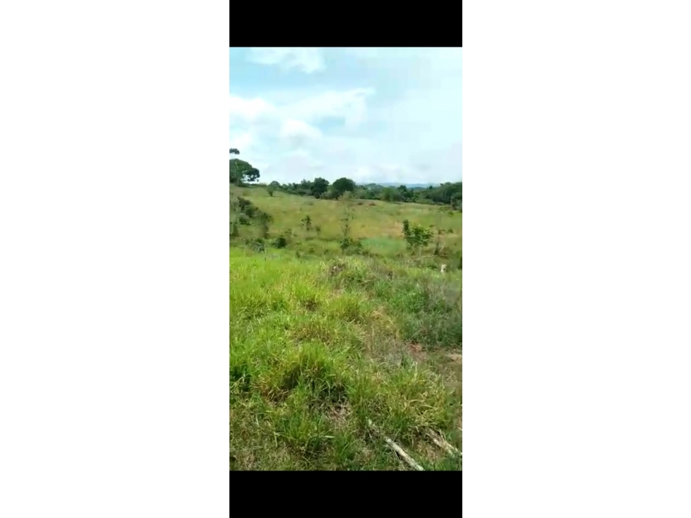 Venta Finca Cimitarra Santander - 3
