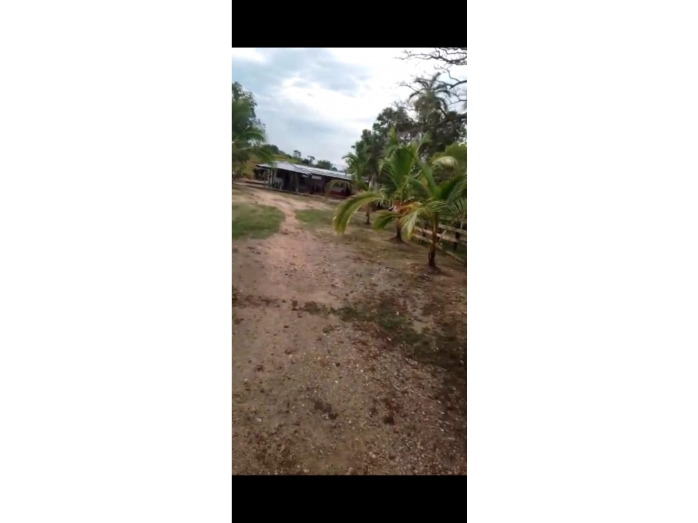 Venta Finca Cimitarra Santander - 4