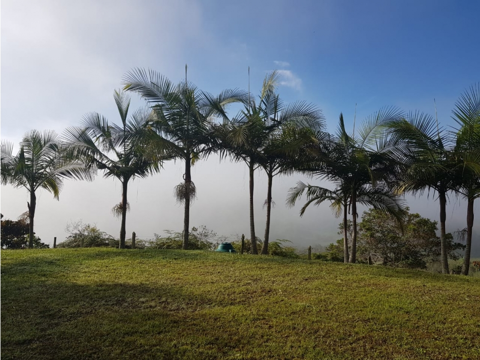 Venta Finca Recreo Marinilla Antioquia vereda El Rosario — foto 4