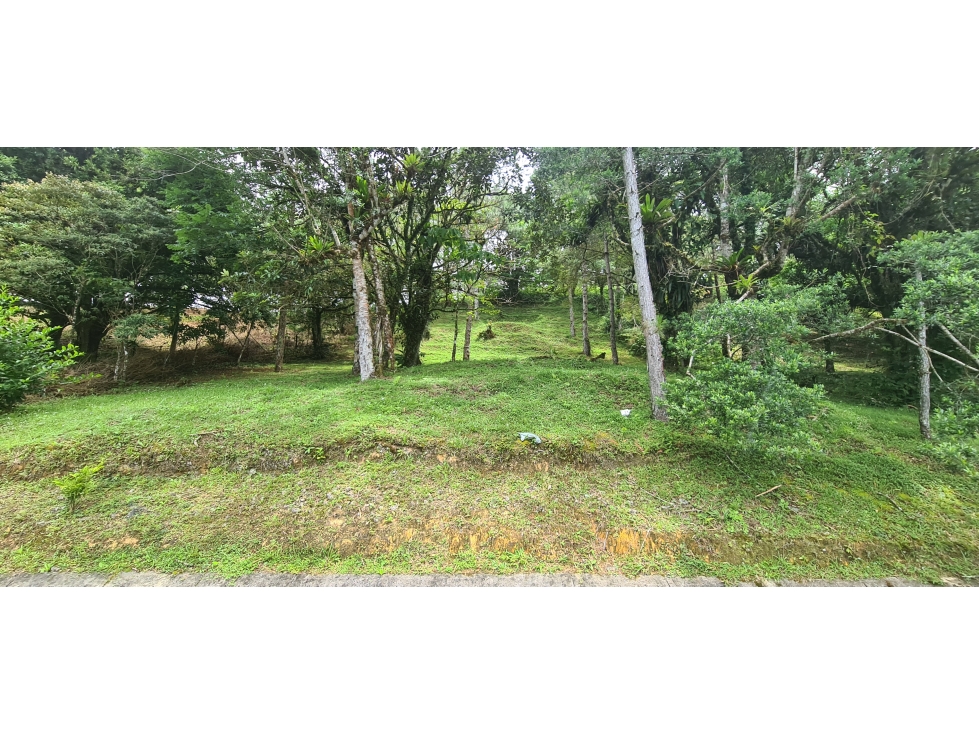 Oportunidad! Se Vende terreno en zona Alta de Altos del Maria — foto 2