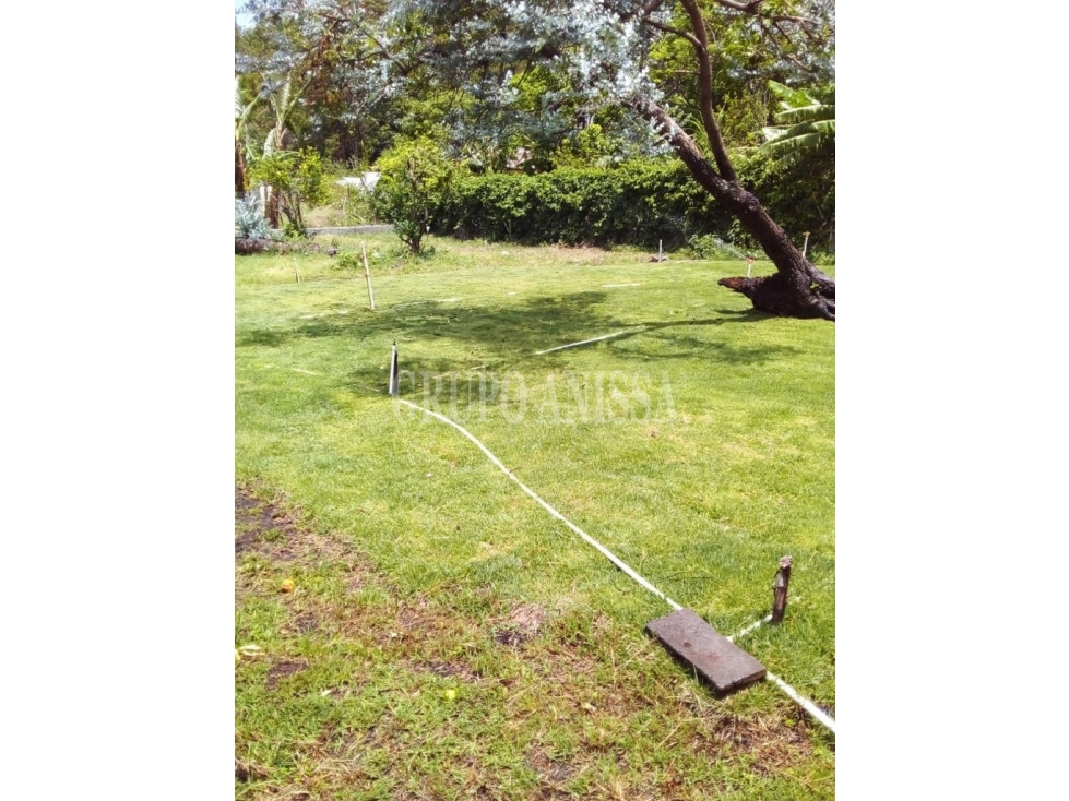 Oportunidad! Se Vende Terreno plano en Boquete - 2