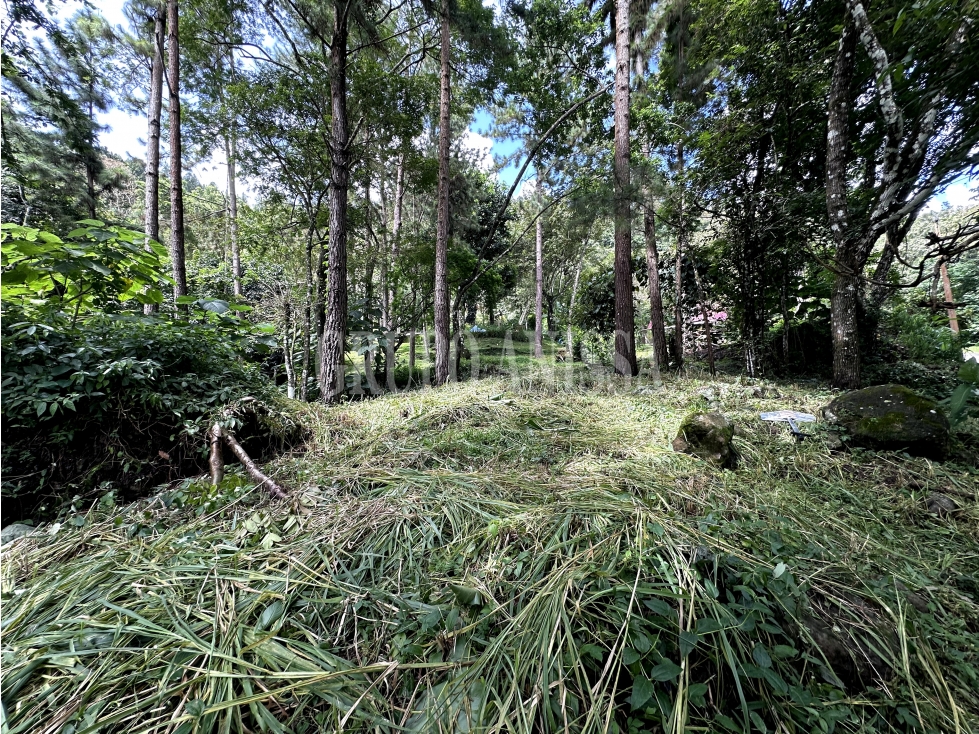 Oportunidad! Se Vende Amplio terreno en Altos del Maria — foto 6