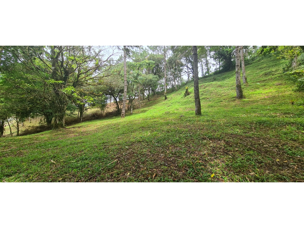 Oportunidad! Se Vende terreno en zona Alta de Altos del Maria — foto 3