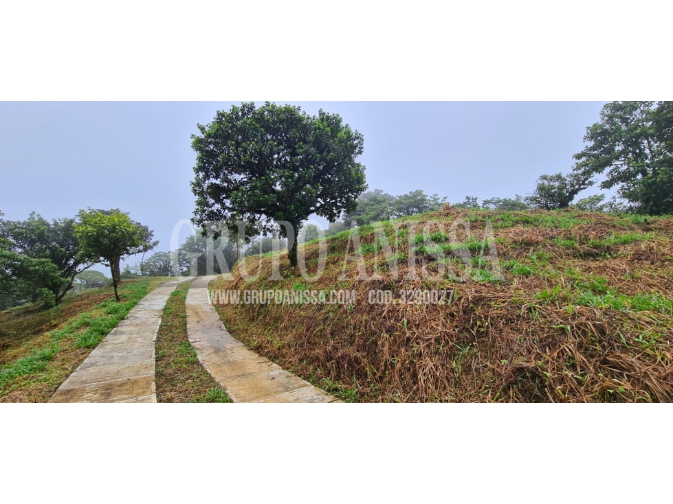 Oportunidad! Sea Dueño de Un Macro-lote Premium en Altos del Maria — foto 2