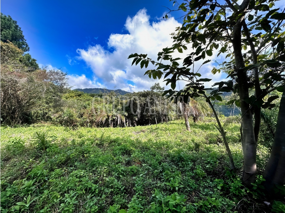 Oportunidad! Se Vende Hermoso Terreno en Altos del Maria — foto 3