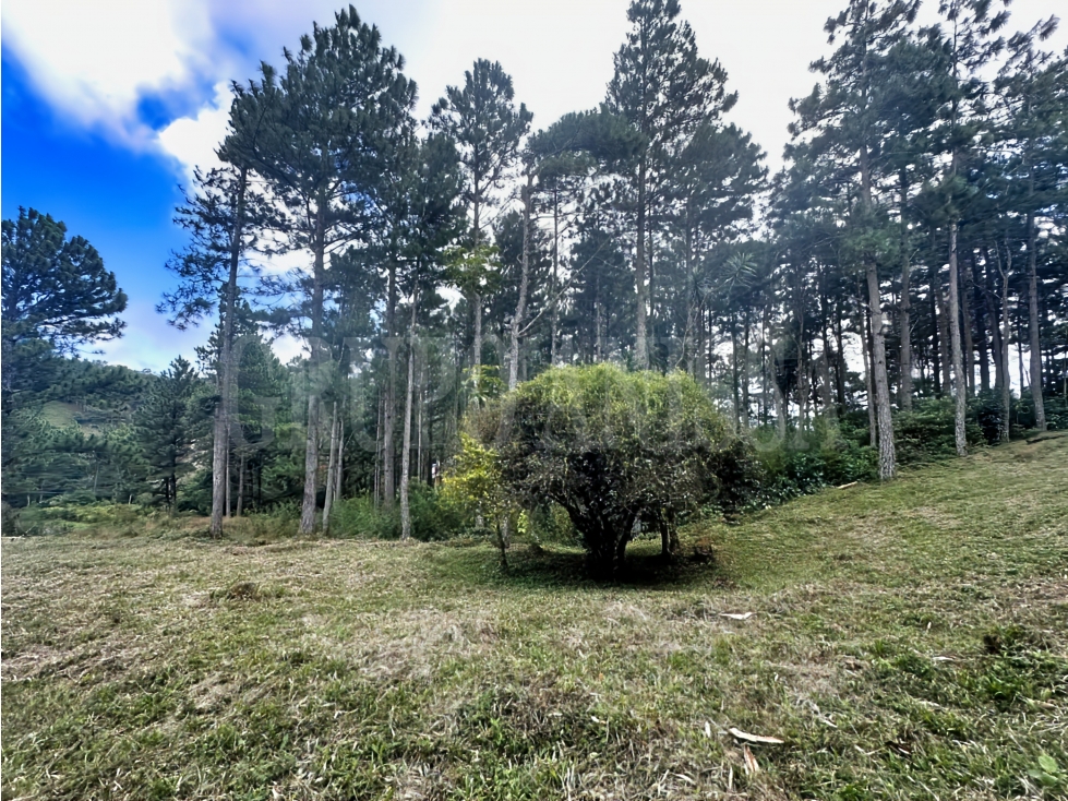 Oportunidad! Se Vende Terreno en Zona Alta - Altos del Maria