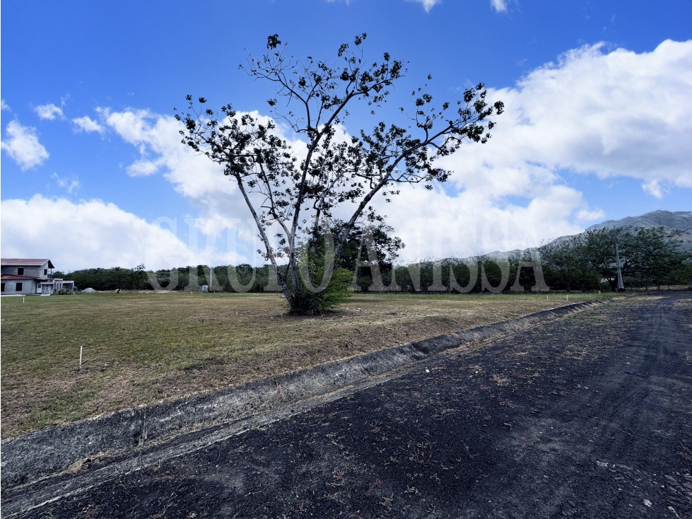 OPORTUNIDAD! SE VENDE TERRENO EN LA COLONIA CHAME