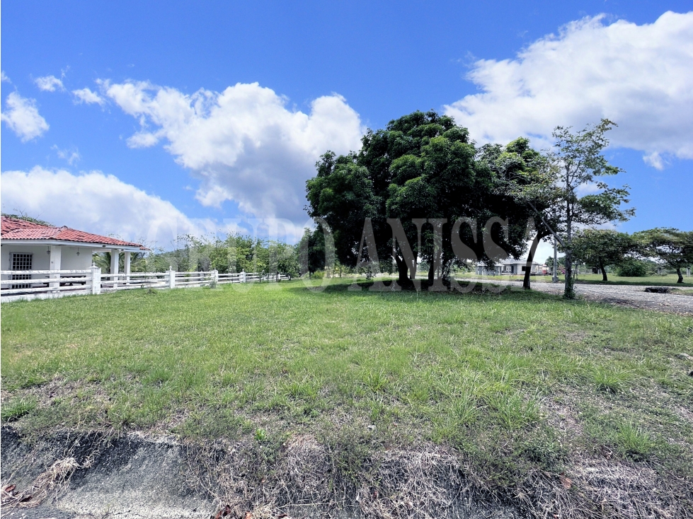 Se Vende Terreno de Esquina en la Colonia Chame