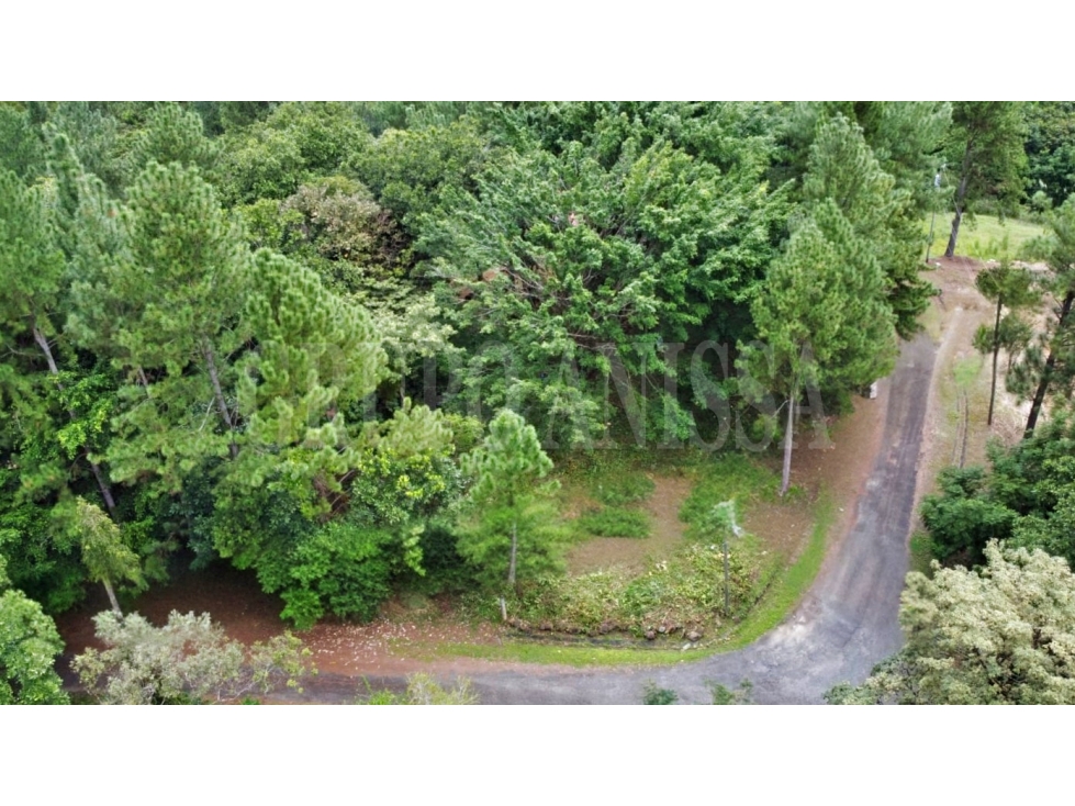 Se Vende bello Lote de Esquina con Manantial en Altos del Maria — foto 6
