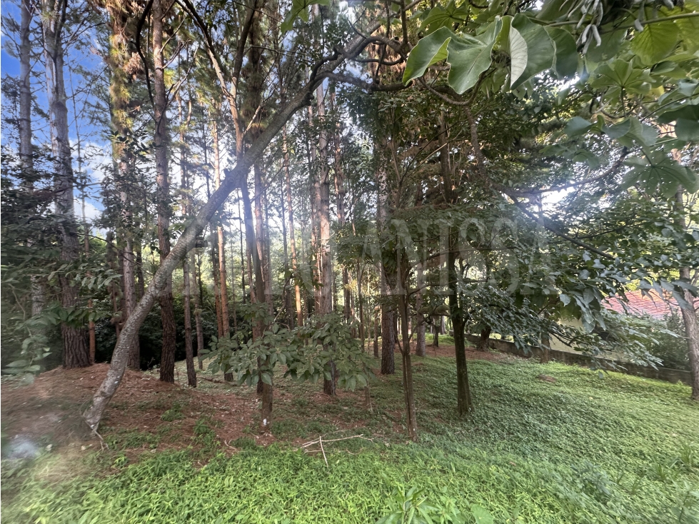 OPORTUNIDAD! Se vende Hermoso Terreno en Altos del Maria