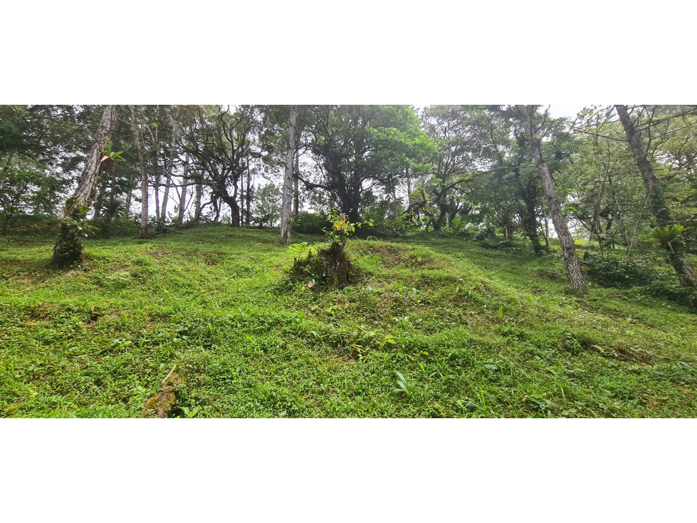 Oportunidad! Se Vende terreno en zona Alta de Altos del Maria — foto 5