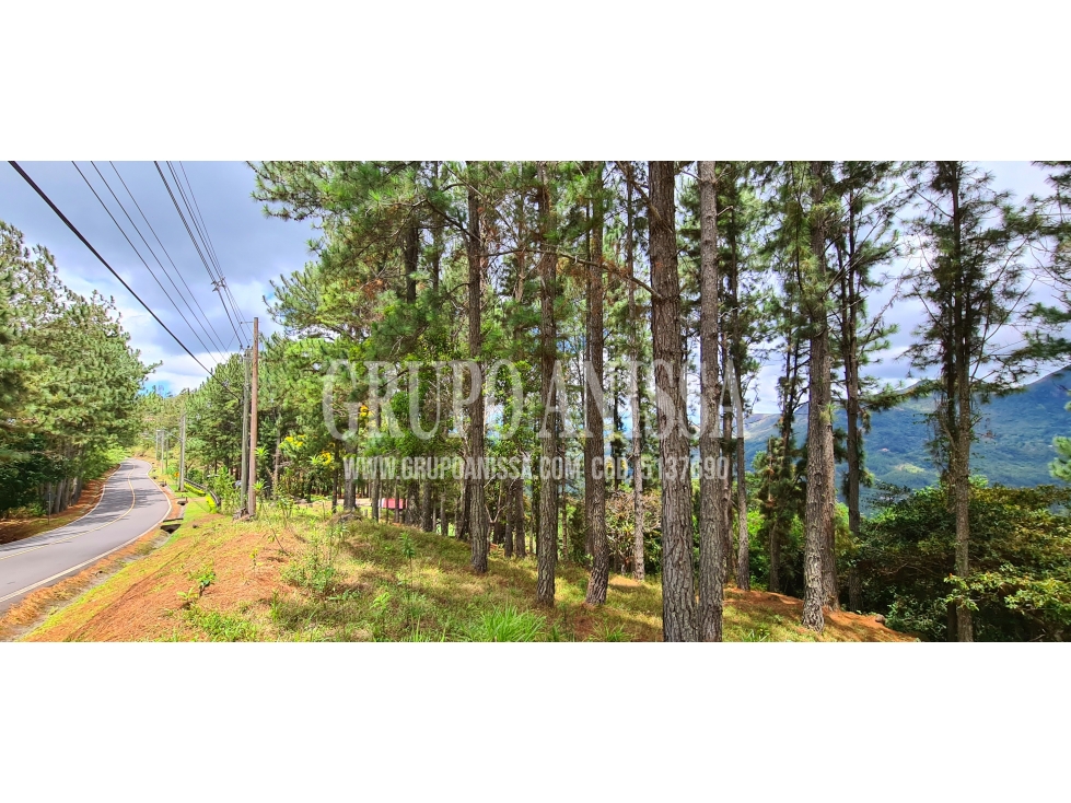 Se Vende Amplio Terreno de Esquina con Vistas en Altos del Maria — foto 3