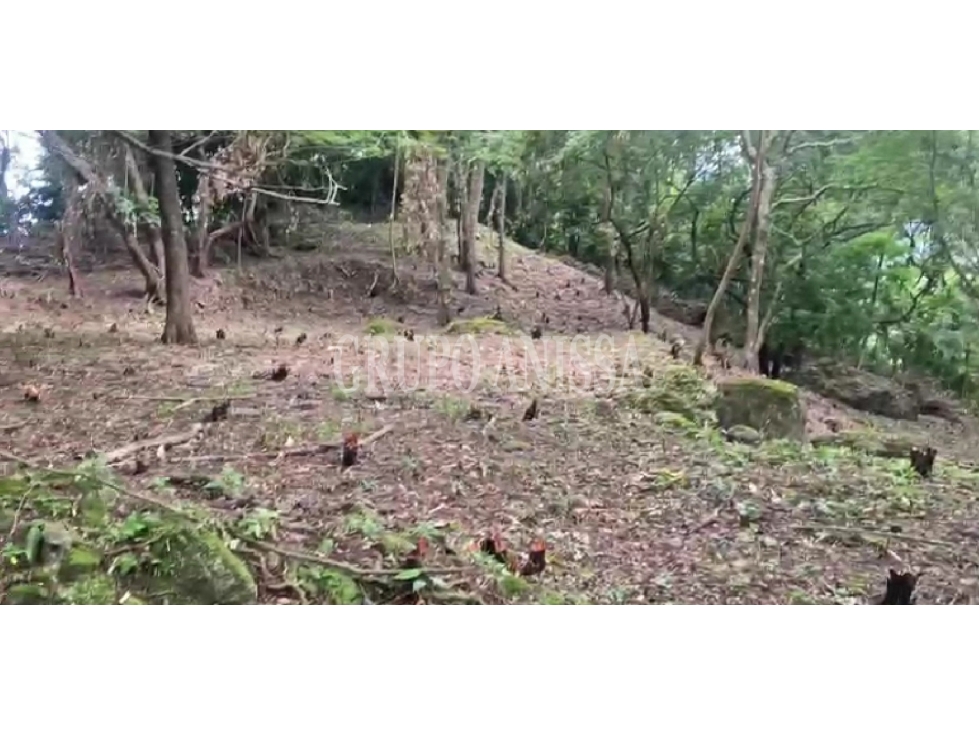 Oportunidad! Se Vende Terreno de Esquina en Altos del Maria — foto 2