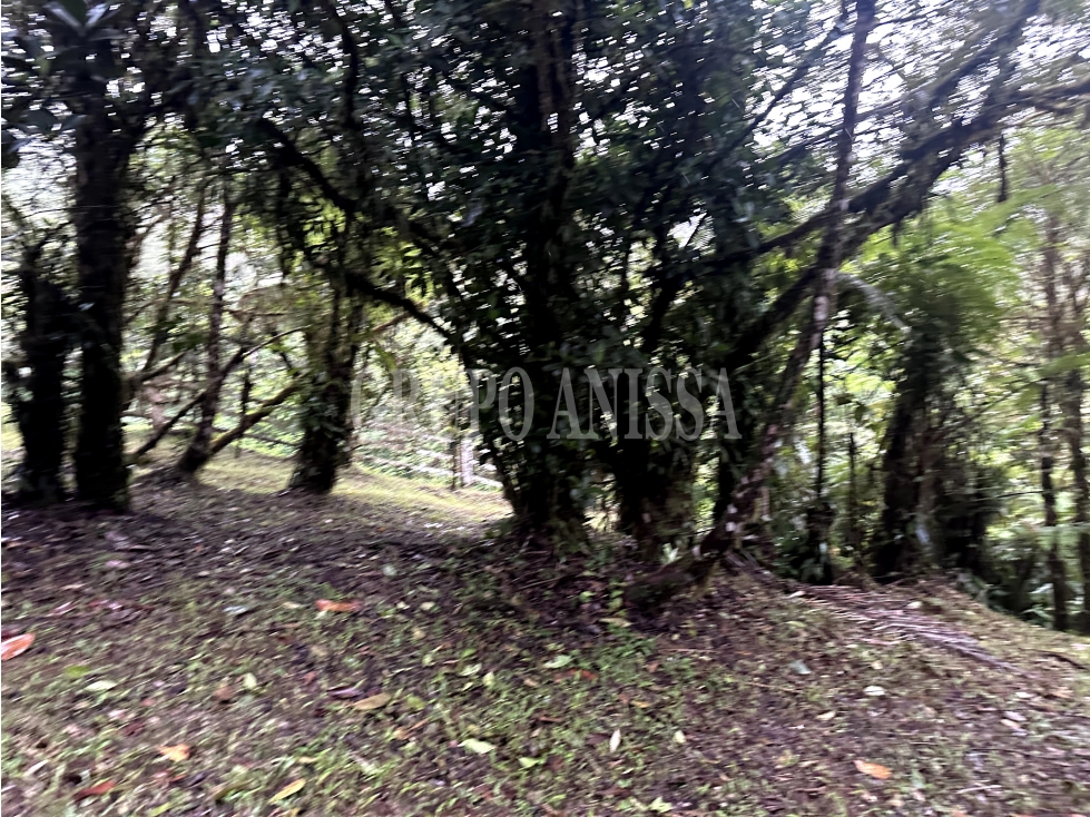Se Vende Terreno Plano en Zona Alta de Altos del Maria — foto 6