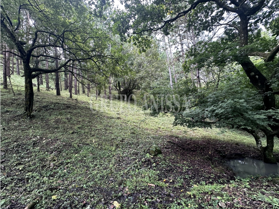 Oportunidad! Se Vende Amplio Lote en Laurel - Altos del Maria