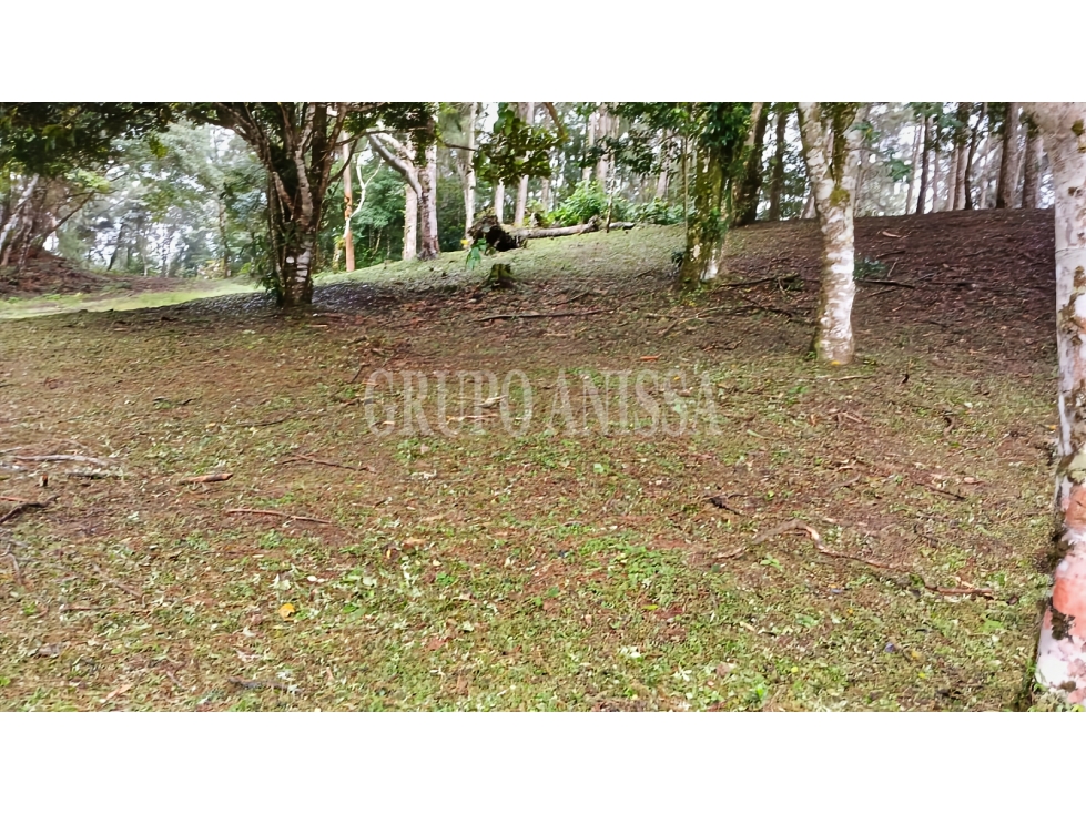 Oportunidad! Se Vende Terreno de Esquina Zona Alta - Altos del Maria — foto 5