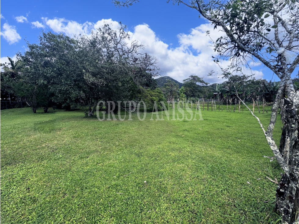 OPORTUNIDAD! Se Vende Hermoso terreno en el Valle de Antón - 4