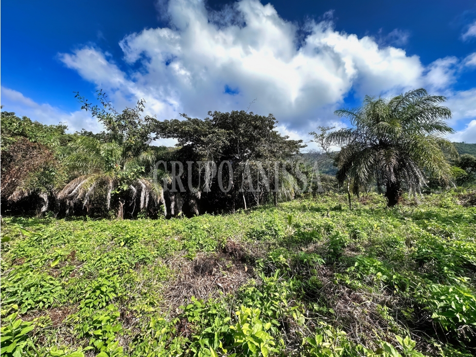 Oportunidad! Se Vende Hermoso Terreno en Altos del Maria — foto 4
