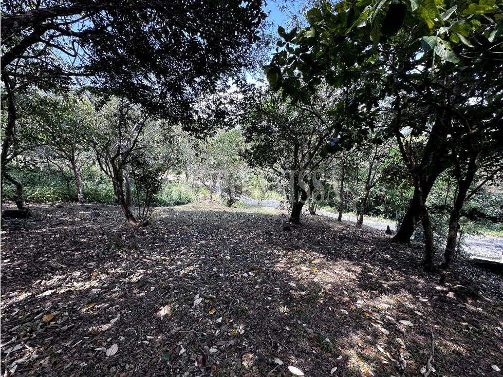 Se Vende Hermoso Lote en Santo Domingo Altos del Maria — foto 5