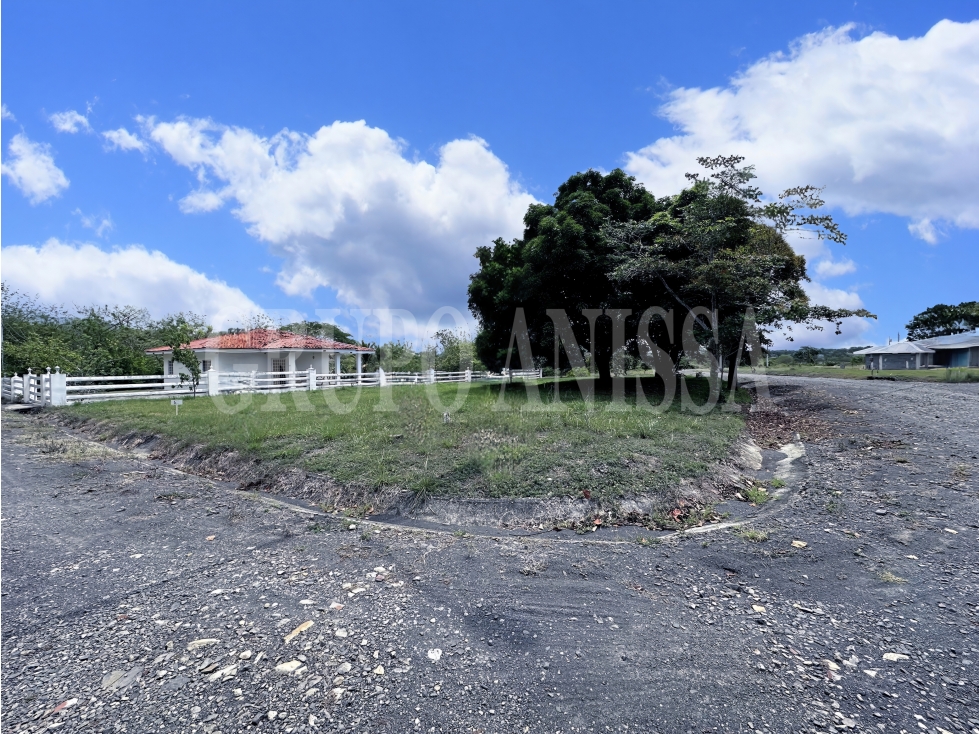 Se Vende Terreno de Esquina en la Colonia Chame — foto 2
