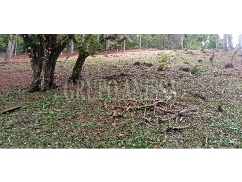 OPORTUNIDAD! Se vende Terreno en Toscana Altos del Maria — foto 3