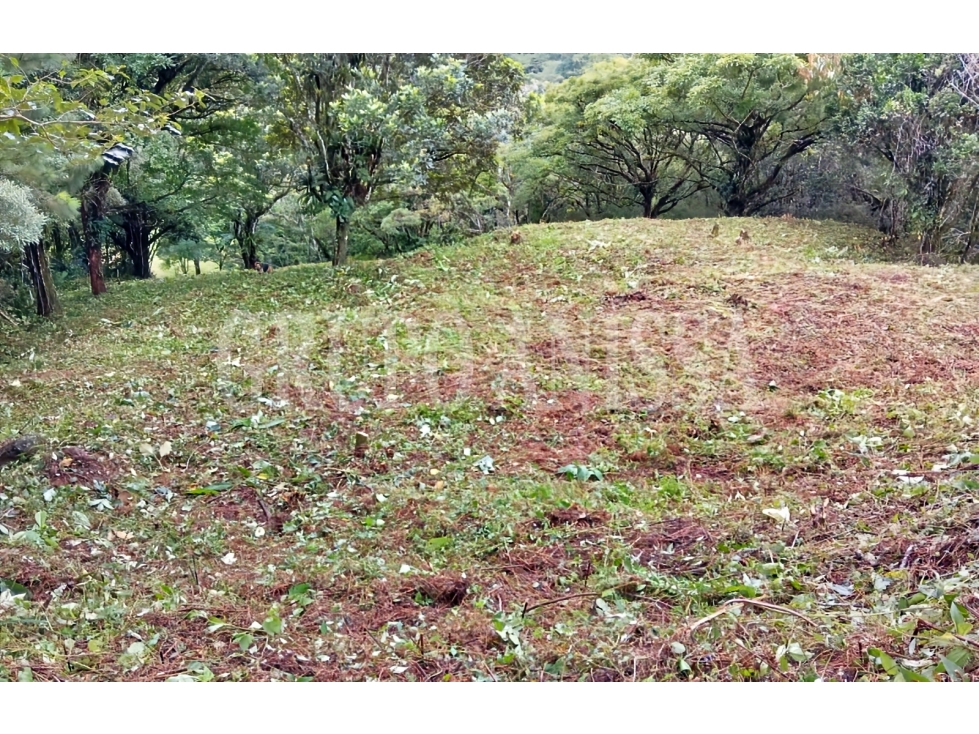 Se vende Terreno con Hermosas Vistas en Zona Alta - Altos del Maria — foto 2