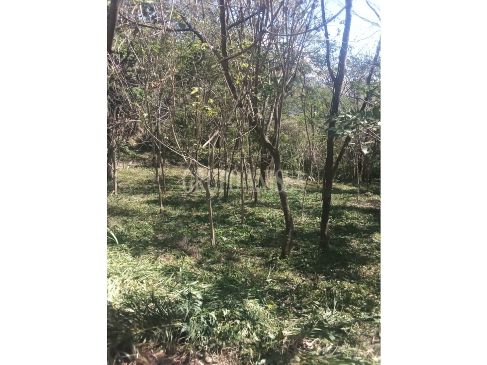 OPORTUNIDAD! Se Vende Terreno en Encanto de Altos del Maria — foto 2