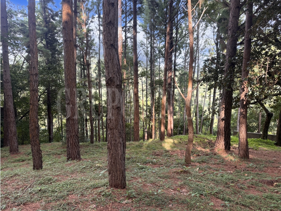 OPORTUNIDAD! Se vende Hermoso Terreno en Altos del Maria — foto 2