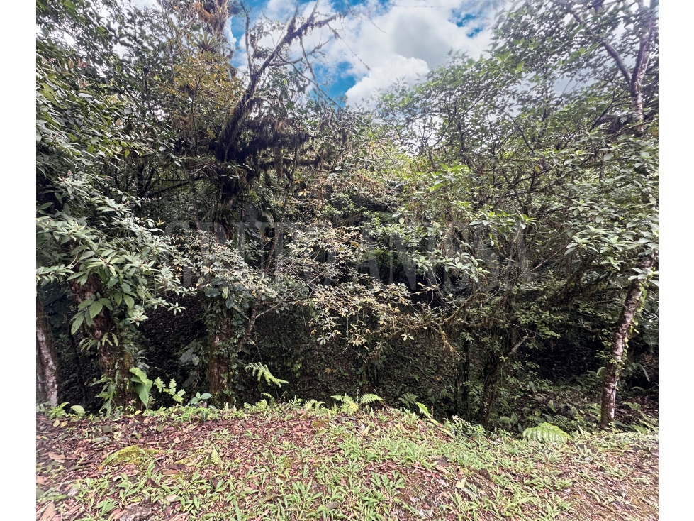 Oportunidad! Se vende amplio terreno en Galicia, Altos del Maria — foto 2