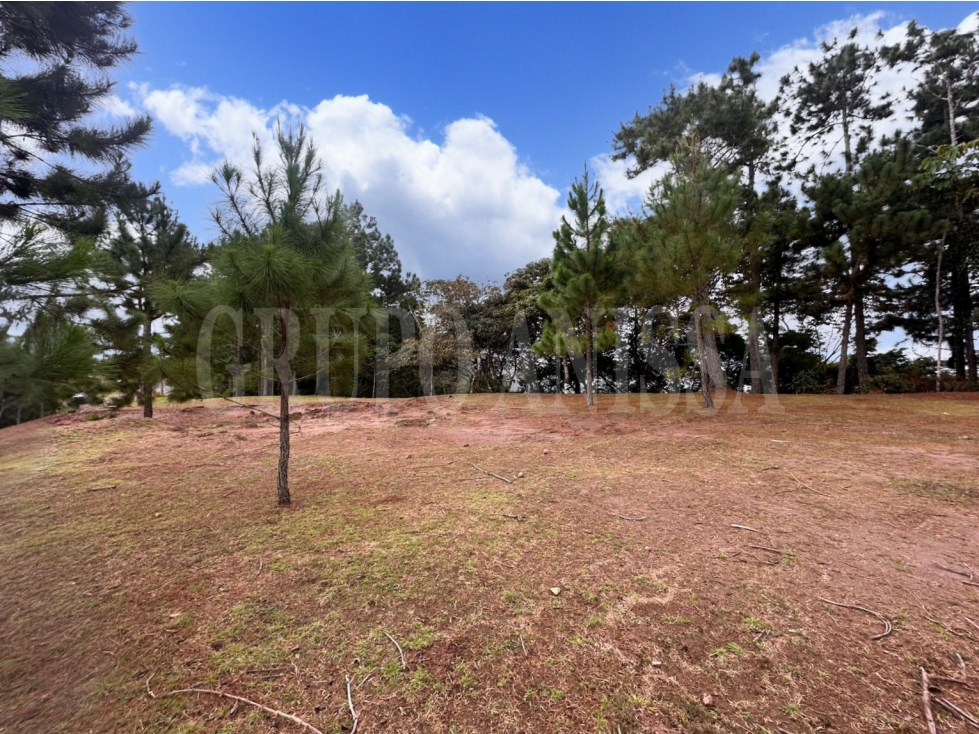 OPORTUNIDAD! Se Vende hermoso terreno nivelado en Altos del Maria — foto 2