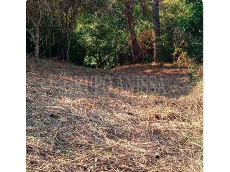 Oportunidad! Se vende terreno en Granada Altos del Maria — foto 2