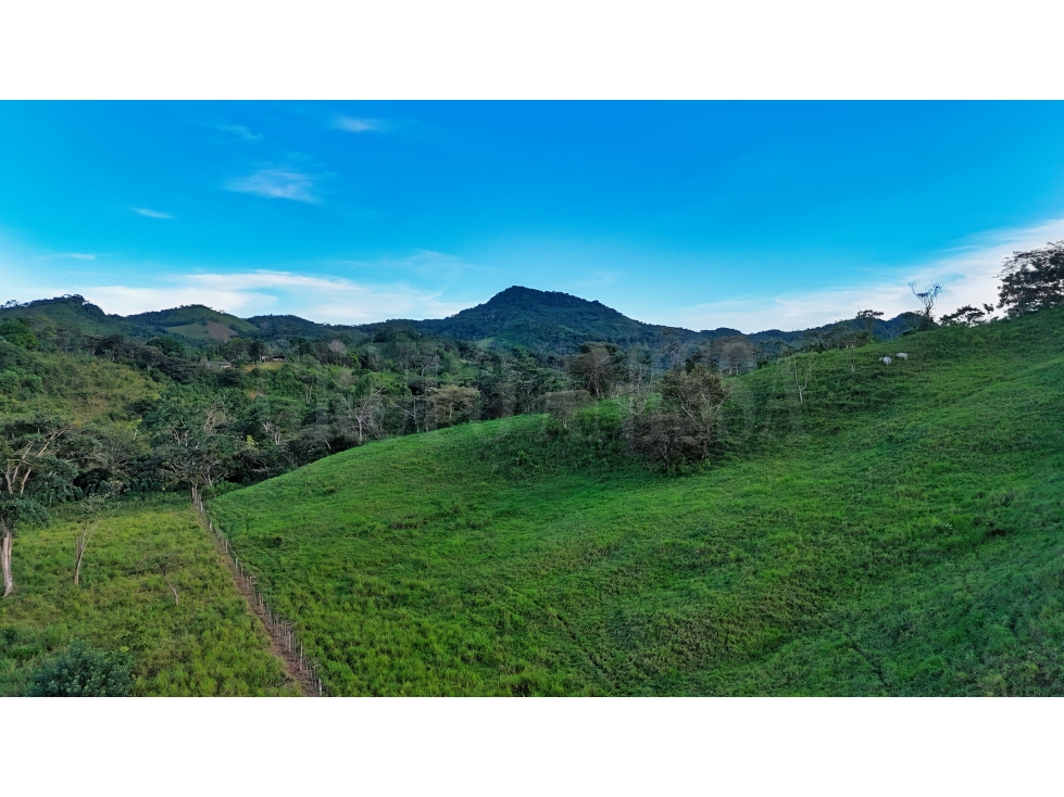 GANGA! Se Vende Amplia Finca en Capira - 13.3 Hectareas - 3