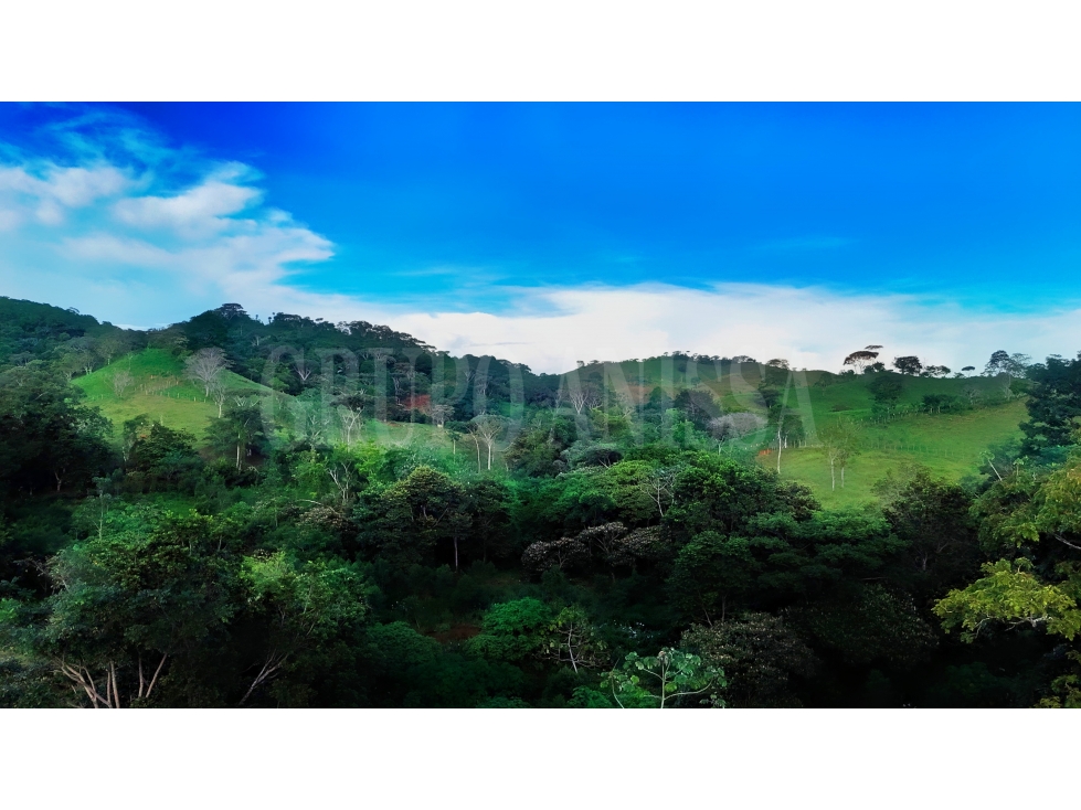 GANGA! Se Vende Amplia Finca en Capira - 13.3 Hectareas - 5