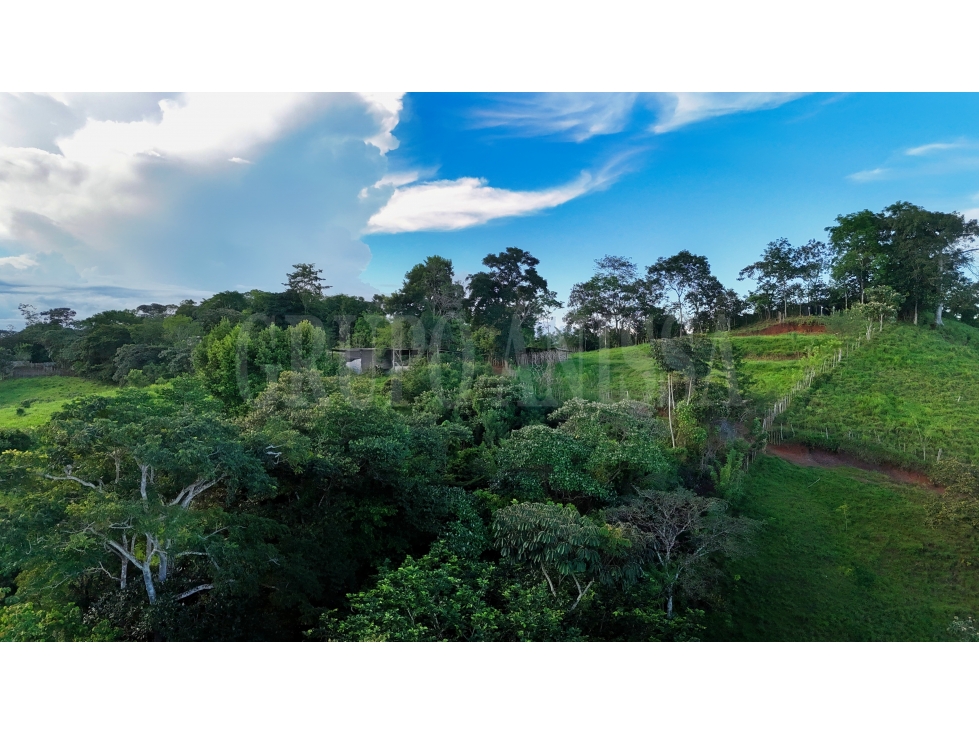 GANGA! Se Vende Amplia Finca en Capira - 13.3 Hectareas - 6