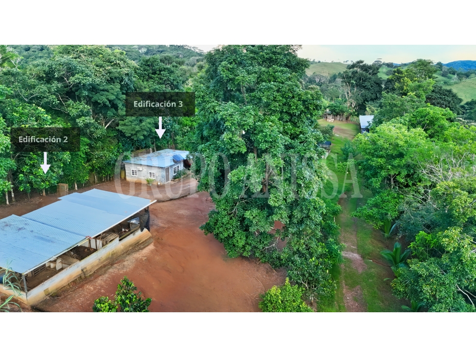 GANGA! Se Vende Amplia Finca en Capira - 13.3 Hectareas - 2