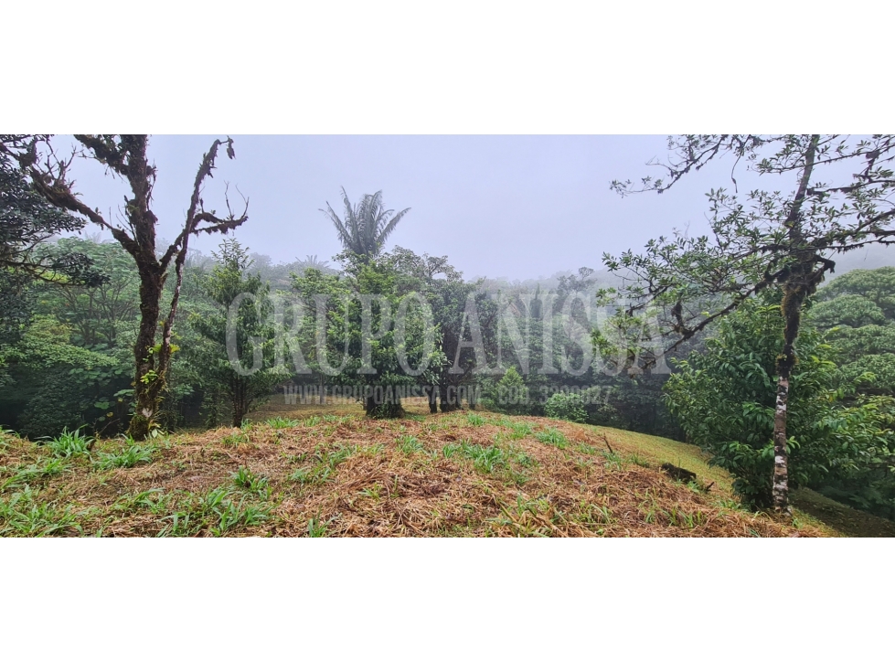 Oportunidad! Sea Dueño de Un Macro-lote Premium en Altos del Maria — foto 4