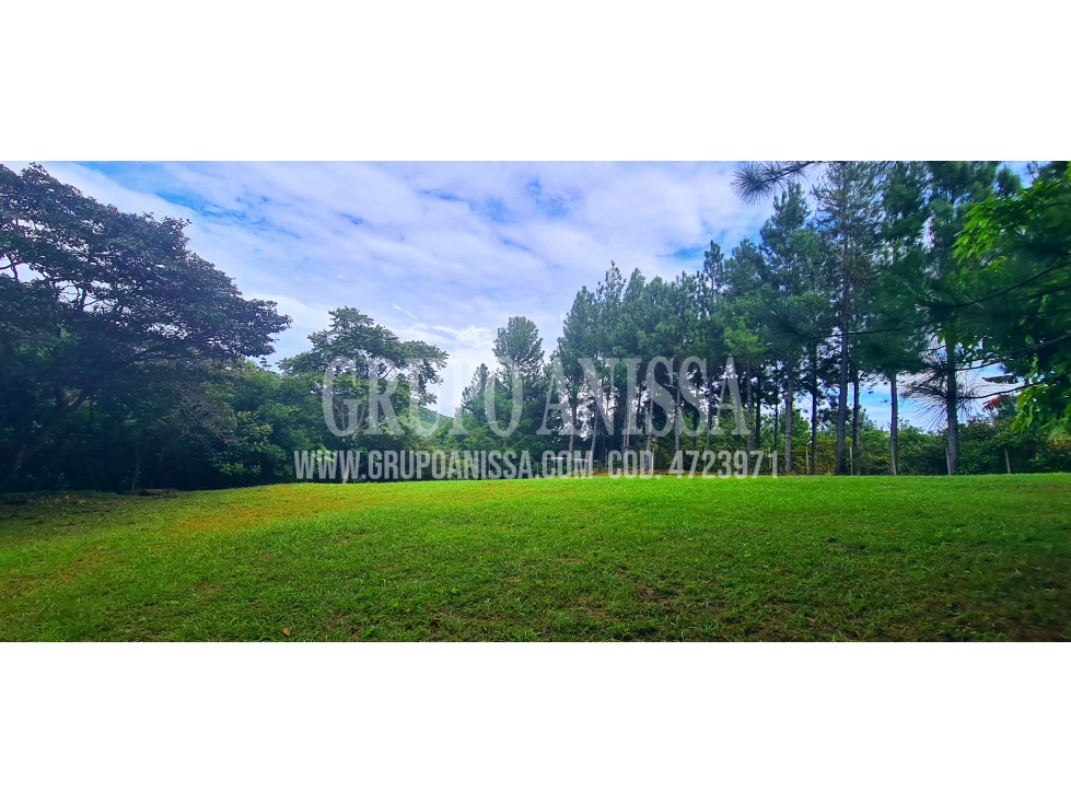 Se Vende Hermoso Terreno Plano En Altos del Maria - 3